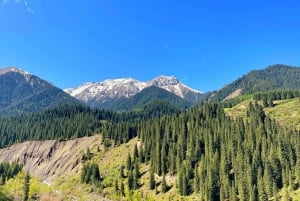 Desde Almaty: Cañón de Charyn Excursión a Kolsay con Acompañamiento