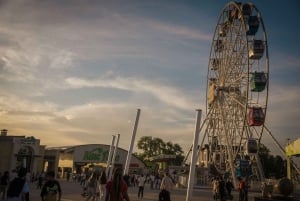 Almaty: 1-Day Tour to Shymbulak, Medeo, Kok-Tobe Hill & Zoo