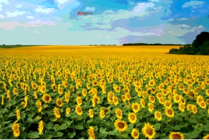 Almaty: 9 Days of East Kazakhstan - Group Tour