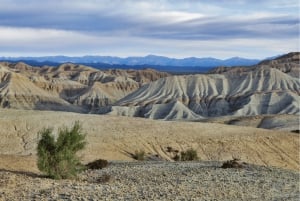 Almaty: Aktau Mountains, Katutau, and Singing Dunes
