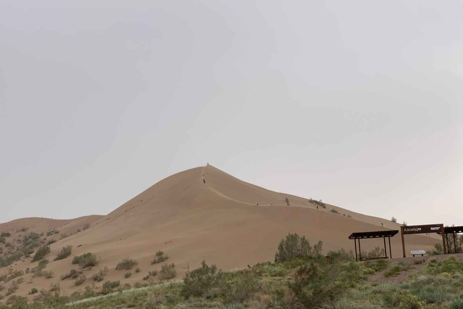 Almaty: dagtrip naar het Altyn-Emel Nationaal Park met gids