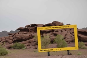 Almaty: dagtrip naar het Altyn-Emel Nationaal Park met gids