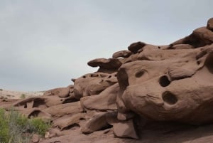 Almaty: dagtrip naar het Altyn-Emel Nationaal Park met gids