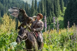 Almaty: Big Almaty Lake and Falconry Show Tour