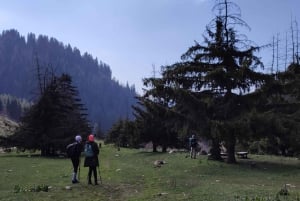 Almaty: Bukreev Peak Hiking Tour with Transfers