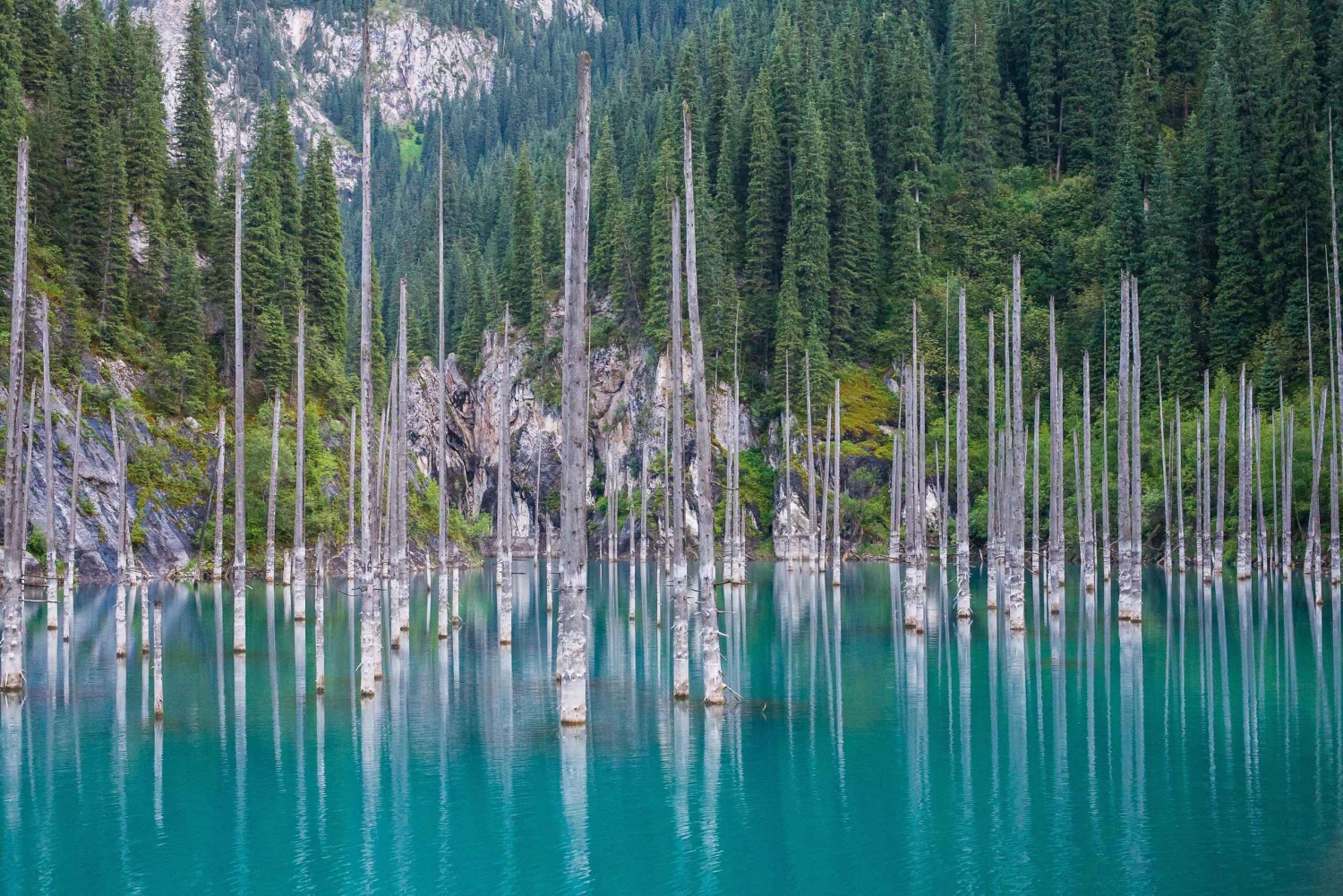 アルマトイ：チャリン峡谷、コルサイ湖、カイディ湖ツアー