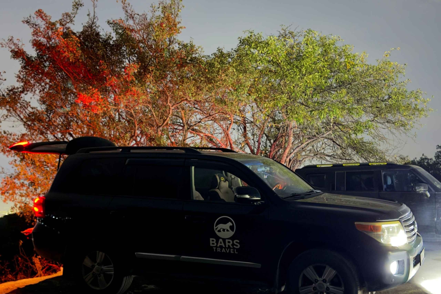 Almaty: Byrundtur Kolsai-sjøen, Kaindy-sjøen, Charyn-canyon