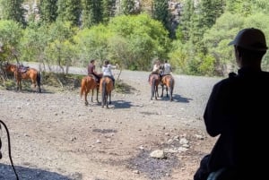 Almaty: Stadsvandring Kolsai-sjön, Kaindy-sjön, Charyn-kanjonen
