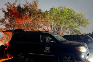 Almaty: Byrundtur Kolsai-sjøen, Kaindy-sjøen, Charyn-canyon