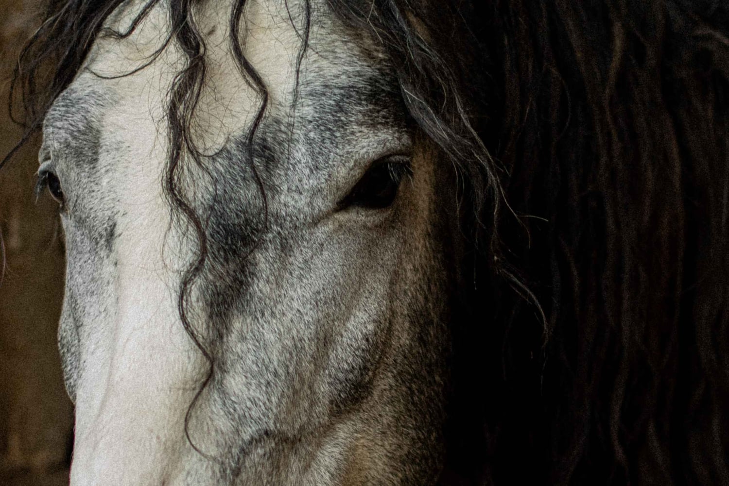 Almaty: Custom city tour, Shymbulak & Horseback-riding