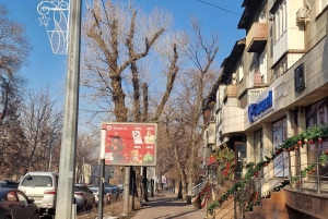 Almaty: Custom city tour, Shymbulak & Horseback-riding