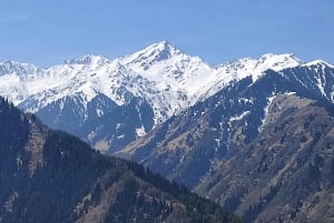 Almaty: Falconry show and Big Almaty Gorge