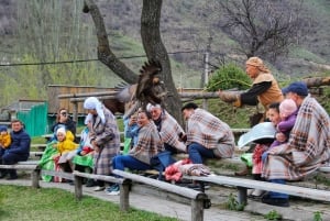 Almaty: Falconry show and Big Almaty Gorge