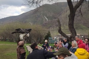 Almaty: Falconry show and Big Almaty Gorge