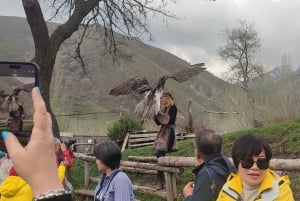 Almaty: Falconry show and Big Almaty Gorge