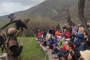 Almaty: Falconry show and Big Almaty Gorge