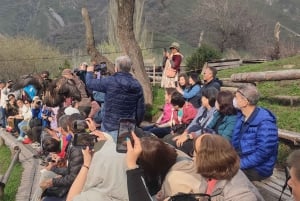 Almaty: Falconry show and Big Almaty Gorge