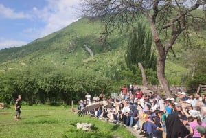 Almaty: Valkerijshow en Grote Almaty Kloof