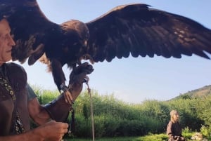 Almaty: Falconry show and Big Almaty Gorge