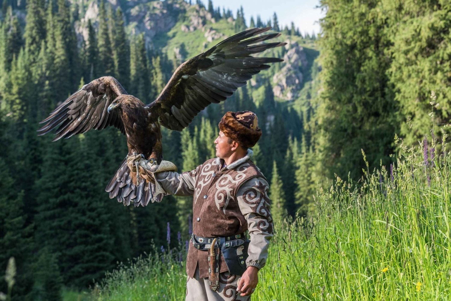 Almaty: Escursione sulla strada giapponese e spettacolo di caccia agli uccelli selvatici