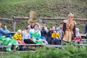 Almaty: Senderismo por la Ruta Japonesa y Espectáculo de Caza de Aves Salvajes