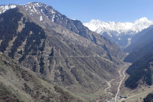 Almaty: Wandelen over de Japanse Weg en Wild Jagen Vogelshow