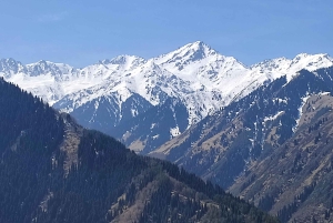 Almaty: Wandelen over de Japanse Weg en Wild Jagen Vogelshow