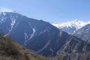 Almaty: Wandelen over de Japanse Weg en Wild Jagen Vogelshow