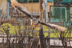 Almaty: Wandelen over de Japanse Weg en Wild Jagen Vogelshow