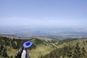 Almaty : Randonnée vers le pâturage de haute montagne Kok Zhailau