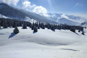 Almaty: Wandelen naar de hoge bergweide Kok Zhailau