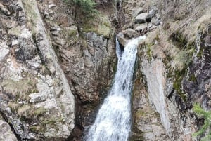 Almaty: Senderismo a los pastos de alta montaña Kok Zhailau
