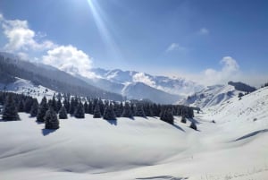 Almaty: Wandelen naar de hoge bergweide Kok Zhailau
