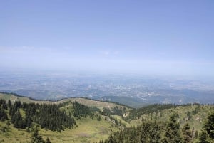 Almaty: Kok Zhailau -vuoristolaitumelle patikoiminen