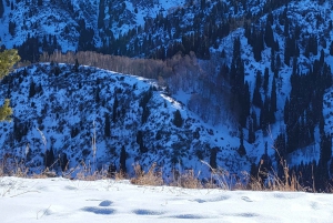 Ałmaty: Wycieczka piesza w góry Kim Asar i do wodospadu