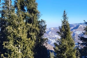 Almaty: Kok Zhailau Mountain and Batareika Waterfall Hike