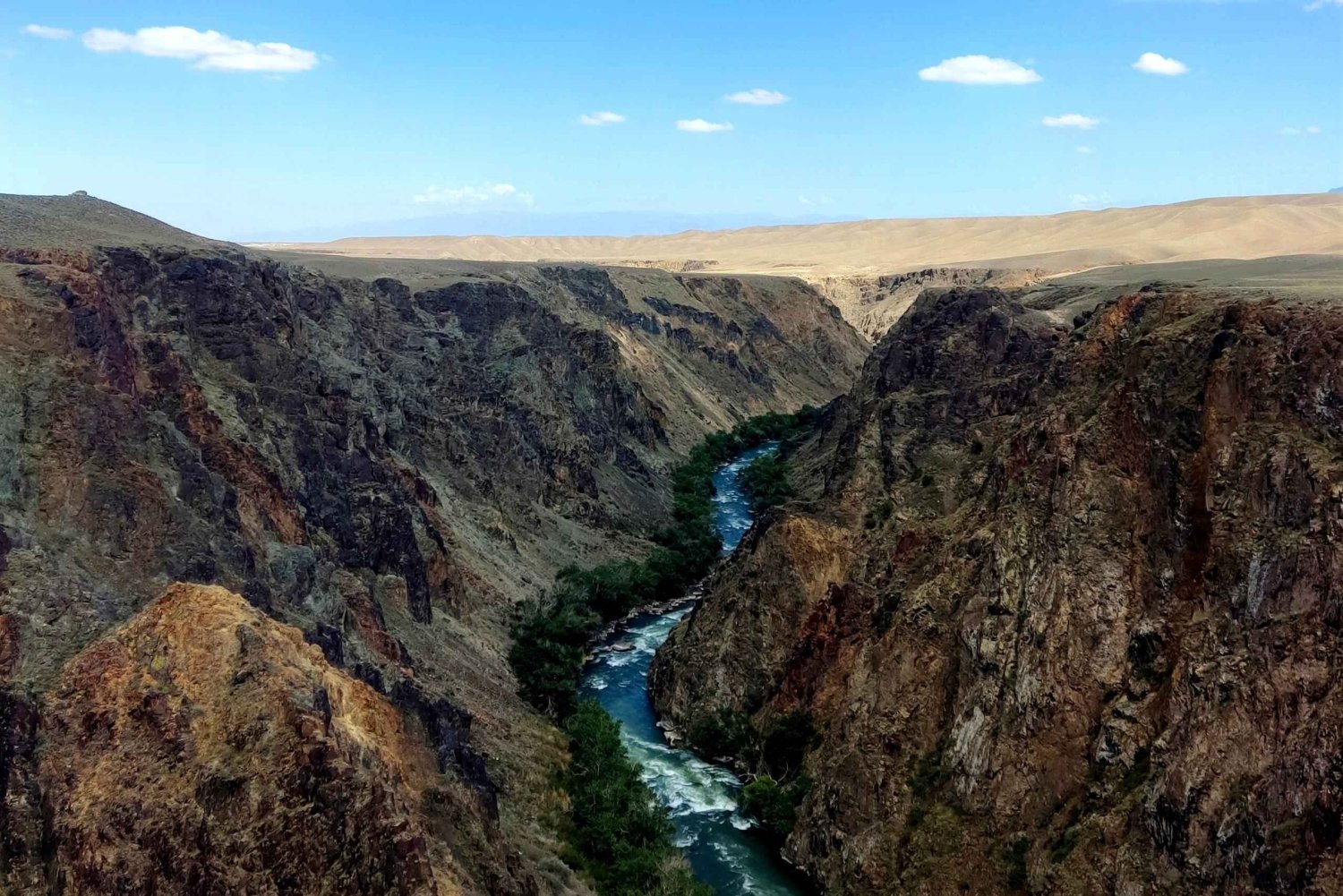 Almaty : excursion d'une journée aux lacs Kolsai et Kaindy et au Black Canyon