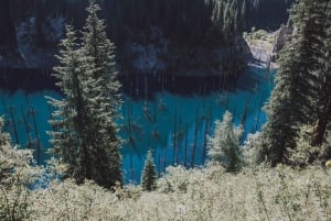 Almaty: Kolsai and Kaindy Lakes & Black Canyon Full-Day Trip