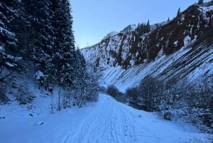 Almaty: Kolsai and Kaindy Lakes, Charyn Canyon Day Trip