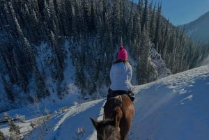 Almaty: Kolsai and Kaindy Lakes, Charyn Canyon Day Trip