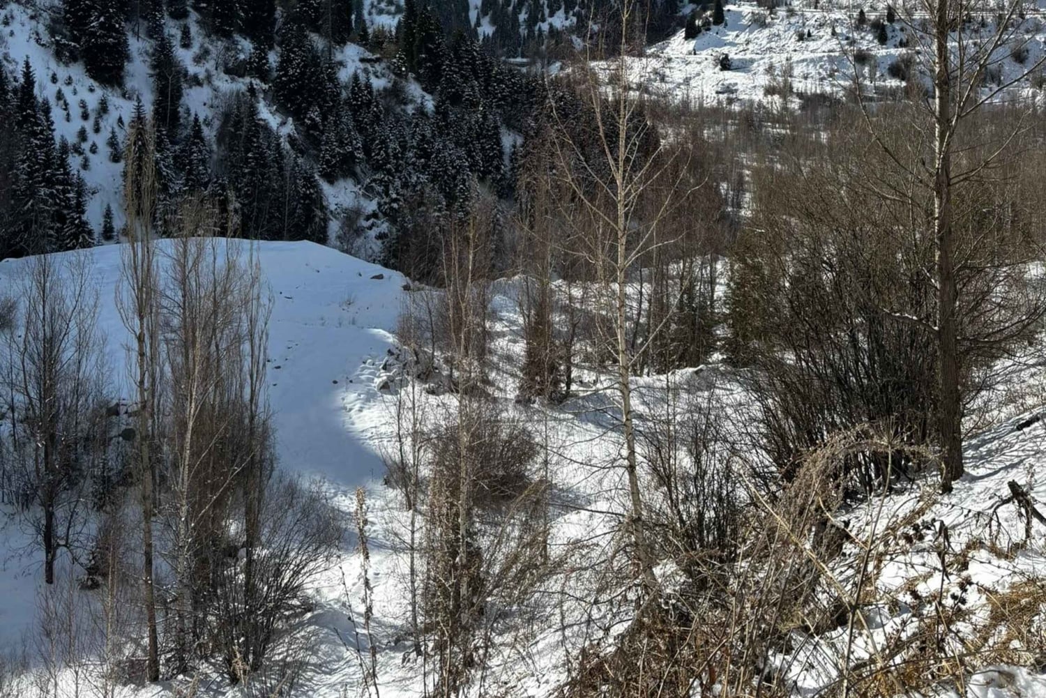 アルマトイ：メデオ、シムブラク、コク・トベ プライベートツアー（EV車利用）