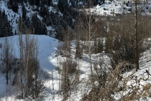 アルマトイ：メデオ、シムブラク、コク・トベ プライベートツアー（EV車利用）