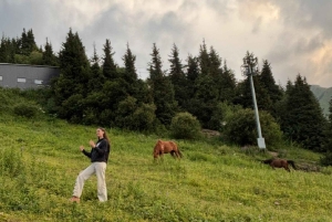 アルマトイ：メデオ、シムブラク、コク・トベ プライベートツアー（EV車利用）