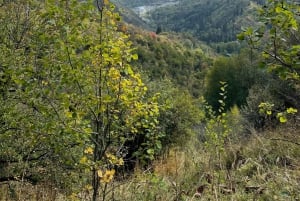 Almaty moderate hiking: Unusual route to Kok Zhailau