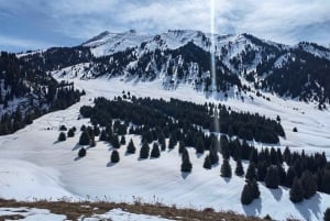 Randonnée modérée à Almaty : itinéraire inhabituel vers Kok Zhailau