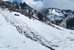 Almaty: Shymbulak, Medeu, Kok Tobe con funivie e biglietti