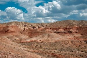 Almaty: Aventura privada de 1 dia na Duna Cantante