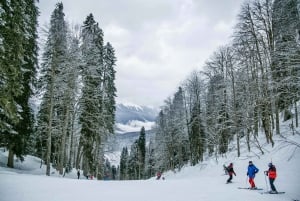 Almaty: Ski tour for Beginners + Instructor, Gear & Transfer