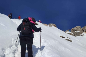 Альпийская жемчужина: Большое Алматинское озеро и восхождение на пик
