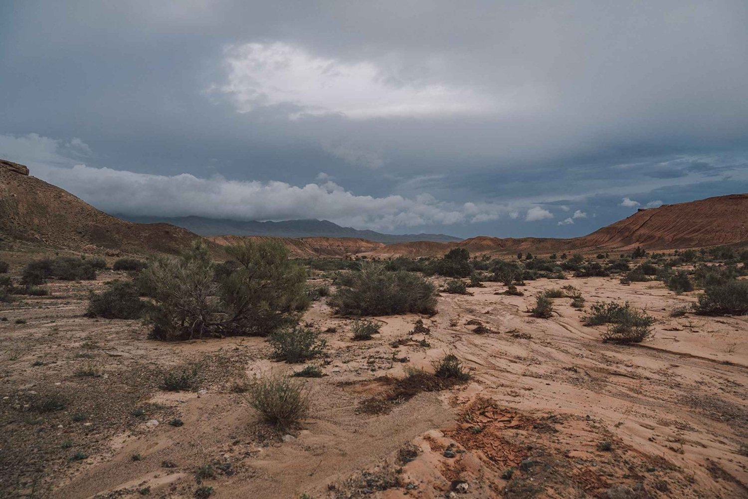 Altyn-Emel-Nationalpark: 1-tägiges Abenteuer
